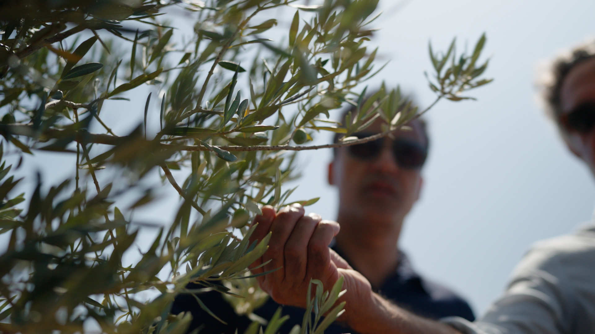 The program will also be available for streaming online.